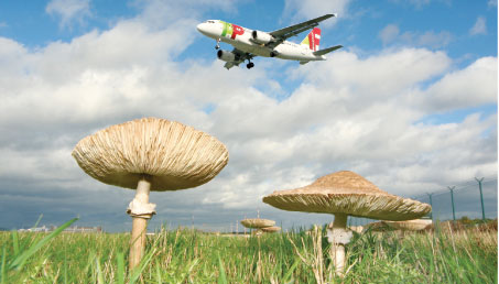 The December meeting in Copenhagen (COP15) will see major ambitions regarding a global approach to Climate Change, discussed by various world leaders in attendance. All stakeholders in aviation are calling for a global sectoral approach and insisting that aviation be treated like any other industry.