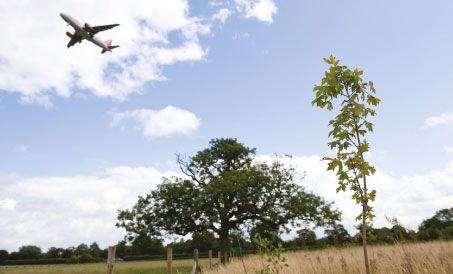 Aircraft flying over a field.