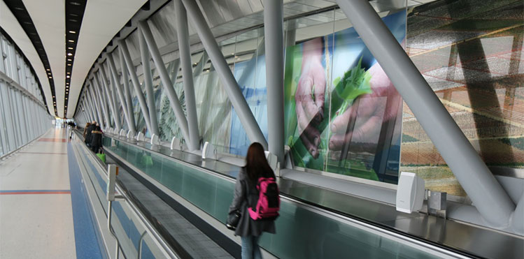gatwick soundscape experience china yangtze river 180 metre long skybridge walkway