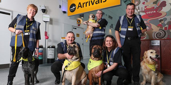 Southampton Airport launches Canine Crew for nervous passengers